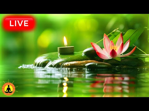 &#128308; Relaxing Meditation Music with Nature Sounds 24/7 &#127807;2831 - Stress Relief Meditation | Calming Music