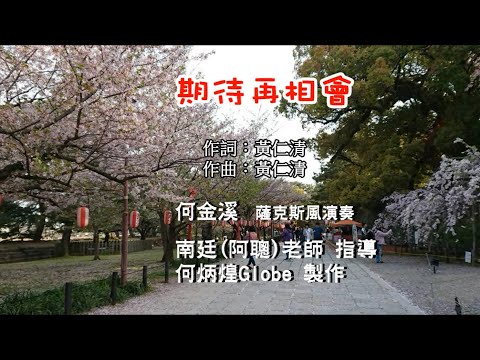 期待再相會~附KTV歌詞~何金溪薩克斯風演奏