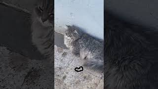 |vlog اكل +قهوة =احلى فعاليات طريق سفر🥰