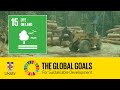 Deforestation and Climate Change Impact