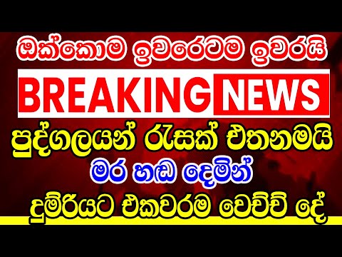 BREAKING NEWS  Very Special  |  News Today Srilanka |  hiru tv TODAY BREAKING NEWS here is special