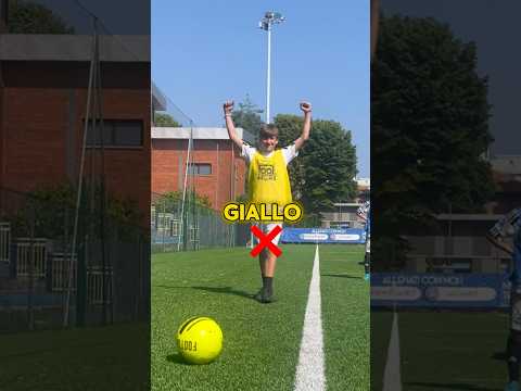 CHALLENGE DI PRECISIONE (a giro) chi vincerà? #perte #calcio #seriea