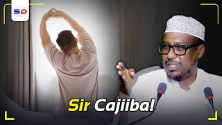 Sheekh Mustafe X | Sir Cajiiba! Camal Kastoo aad Qabato Wad Ku Jano Tagi Kartaa Xitaa Shaqada!