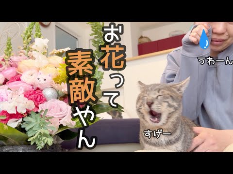 【涙】ジョーちゃん凄いじゃん！！成長を感じて涙するママ…。