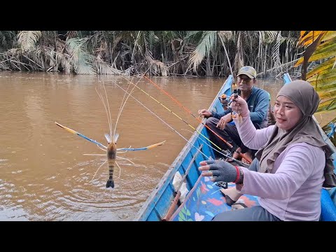 Strike bertubi-tubi udang galah,didominasi capit kuning dan size B saat mancing bersama istri