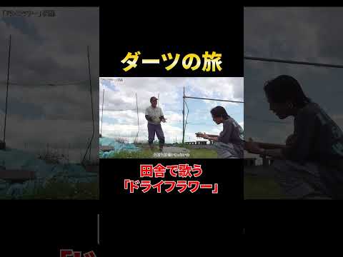 【ダーツの旅】田舎で歌う「ドライフラワー」#shorts