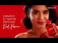 Understanding the Power of Fragrance