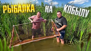 ЛОВИМ РЫБУ НА КОБЫЛУ! ТРЕУГОЛЬНИК СВОИМИ РУКАМИ!