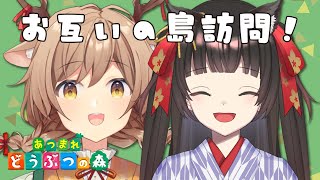 【あつまれ どうぶつの森】2025年6月27日（金）｜コラボです！島訪問しながら遊ぶ！【 #天上きり #乙女ノ浪漫 / VTuber 】