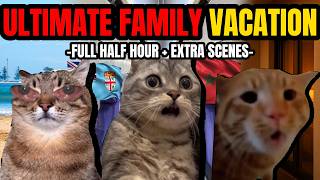 CAT MEMES: A FAMILY VACATION COMPILATION FULL HALF HOUR