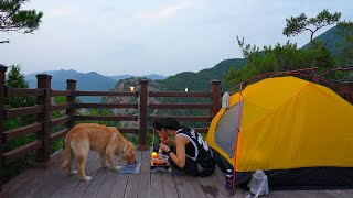 [295] My Golden Retriever and Backpacking | Romantic of Homelessness