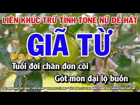 Karaoke Liên Khúc Nhạc Trữ Tình Tone Nữ Dễ Hát Nhất | Giã Từ | Con Đường Xưa Em Đi