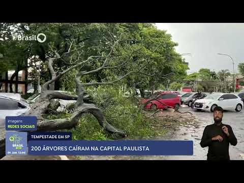 Temporal causa morte e estragos no estado de São Paulo