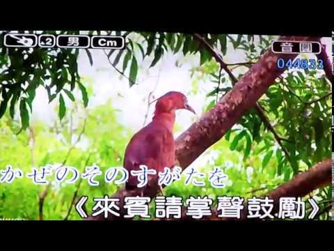 風姿花傳  卡拉OK版 男key