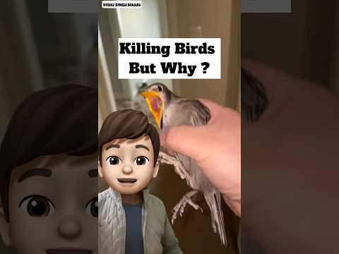Birds Species Extinct 😈 | ​@Street_Dog_Pluto