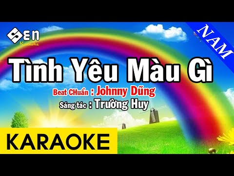 Karaoke Tình Yêu Màu Gì Tone Nam Nhạc Sống – Beat Chuẩn Johnny Dũng
