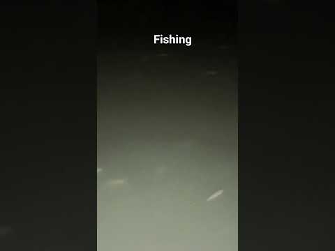 fishing night #fish #fishing #shortvideo