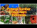 Kuis Potensi Sumber Daya Alam dan Kemaritiman di Indonesia
