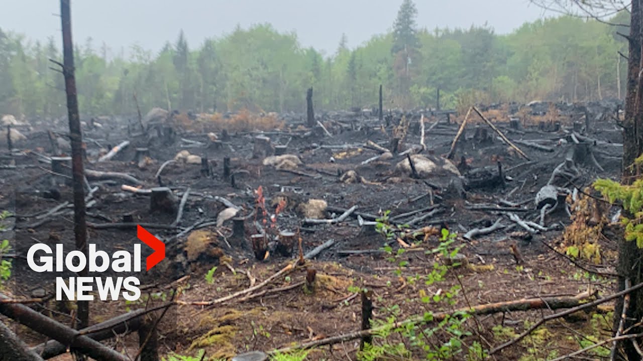 Wildfires Rage Across Canada, many Out of Control: “A lot of Devastation”