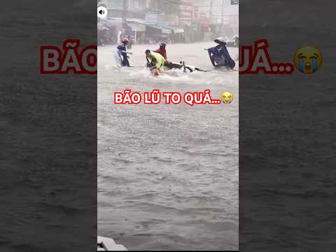 Gió bão nguy hiểm lắm, mọi người nhớ đi đường chú ý cẩn thận nhé!#kynangsong #diengianguyenphucnhac