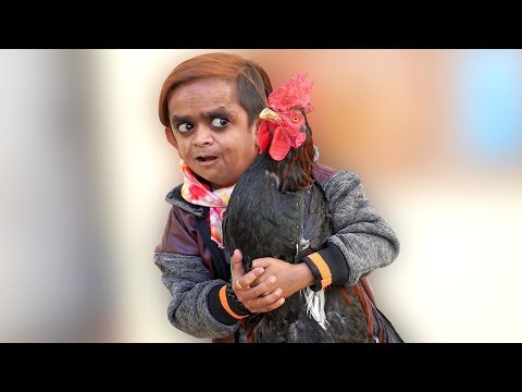 CHOTU DADA MURGI WALA | छोटू मुर्गी वाला | Khandesh Hindi Comedy | Chotu Dada Comedy Video