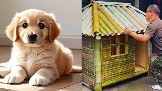 INSANE Bamboo Dog House Design!!  Build With Love. #doghouse #bamboocraft #woodwork