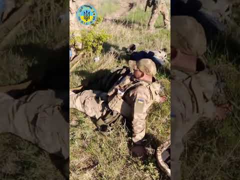 Слава Збройним Силам України