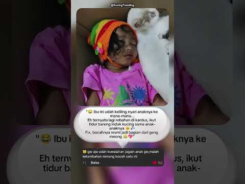 💕"ketika induk kucing jadi ibu angkat"😹