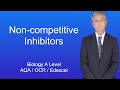 Enzyme Inhibition Mechanisms