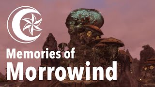 Skywind Developers Release New Video to Celebrate The Elder Scrolls III: Morrowind\'s 20th Anniversary
