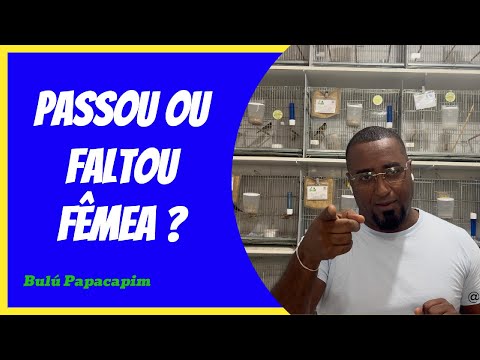 PASSOU OU FALTOU FÊMEA