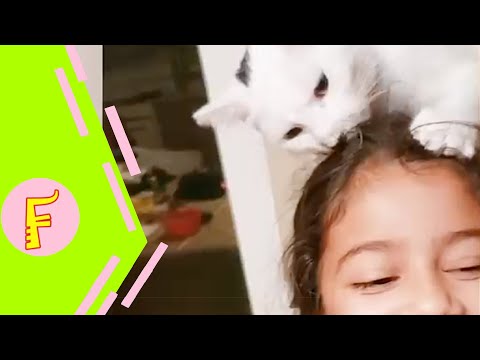 Baby and Cat Fun and Cute #9 - Funny Baby Video