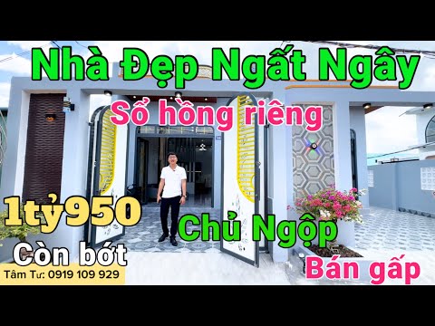 MAP ĐẤT VIỆT - mapdatviet.com Chủ Ngộp Bán Nhà Quá Rẻ Đúng 1 tỷ 950 còn bớt Đẹp Ngất Ngây Sổ Hồng Riêng ngay chợ bình chánh