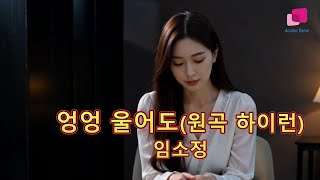 [듣기 좋은 트로트]엉엉 울어도(원곡 하이런)-임소정