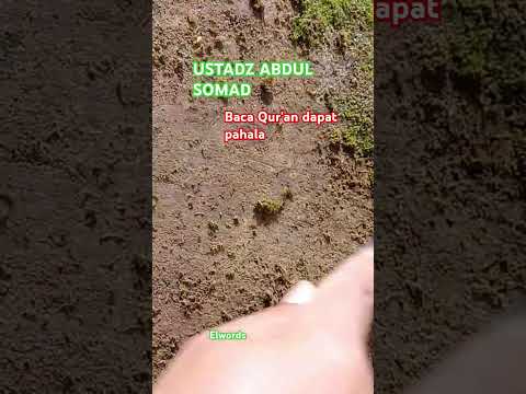 Baca qur'an dapat pahala & rahmat #shorts #trending #islam #muslim  #motivation