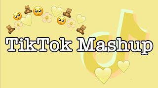 TikTok Mashup February 2022 (not clean)