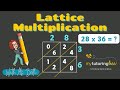 Exploring Lattice Multiplication Techniques