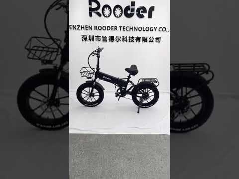 #citycoco electric bicycle Rooder ebike