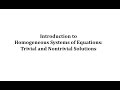 Homogeneous Systems and Solutions