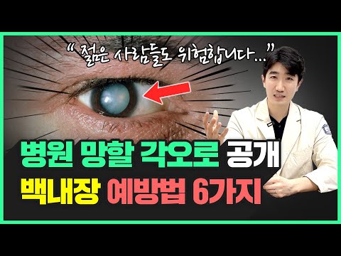 이 6가지만 지키면 백내장 걱정 끝! | 젊은 분들도 꼭 알아야 할 눈 건강 관리법