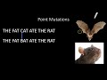 Exploring Mutations in Depth