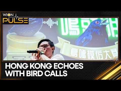 Hong Kong Hosts First Ever Bird Call Contest to Raise Eco Awareness | WION