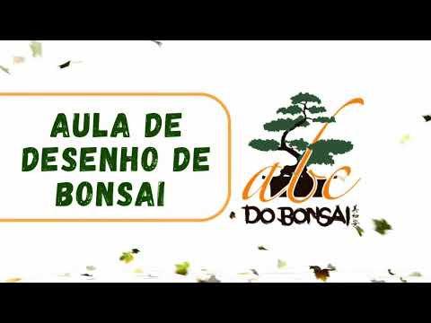 ESTUDANDO AS POSSIBILIDADES NA HORA DE MUDAR A CARA DE UM BONSAI
