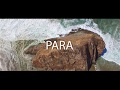 Video Structure and Theme Variations