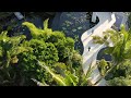 Water Conservation Practices and Issues