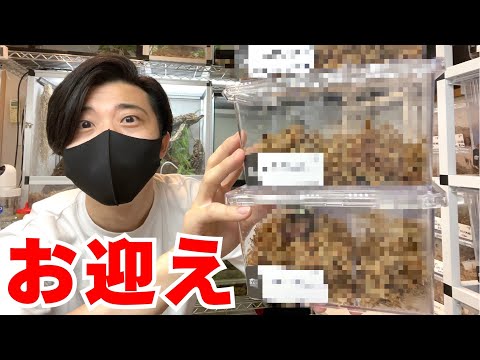 巨大すぎるやばい奴お迎えしました！