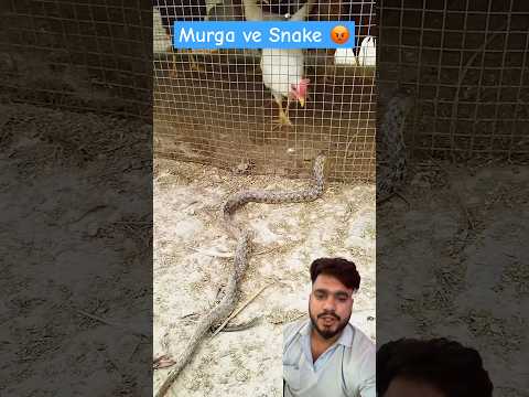 Duniya ki sab se pyari awaaz ๐ฅฐ #azan #islamicvideos #islamicstutus #shortsfeed #quran #shorts #azma