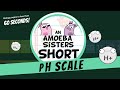 Understanding pH Levels