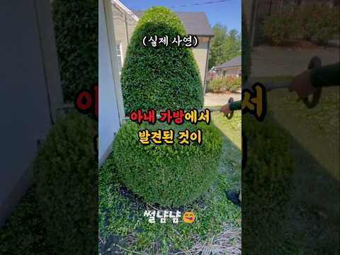아내의 가방에서 발견한 충격적인 것 #shorts #부부