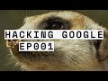 Understanding Meerkats and Cybersecurity